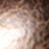 houston_ballard
